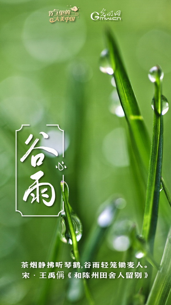【节气里的大美中国】节气PLOG丨谷雨：莫负这最后的春光！