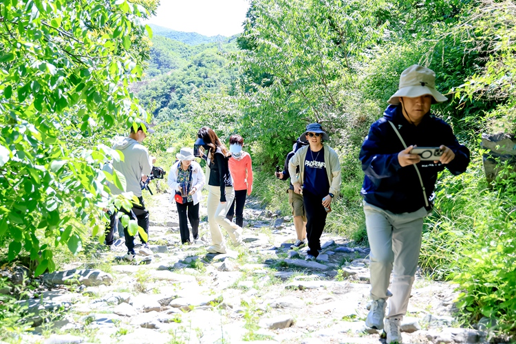 采风妙峰山古道 见证门头沟巨变——“视听北京传播矩阵”走进北京门头沟