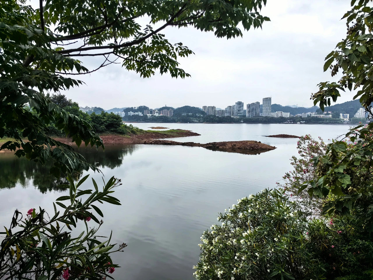 王学武 | 平凡的我们为何总放不下乡情
