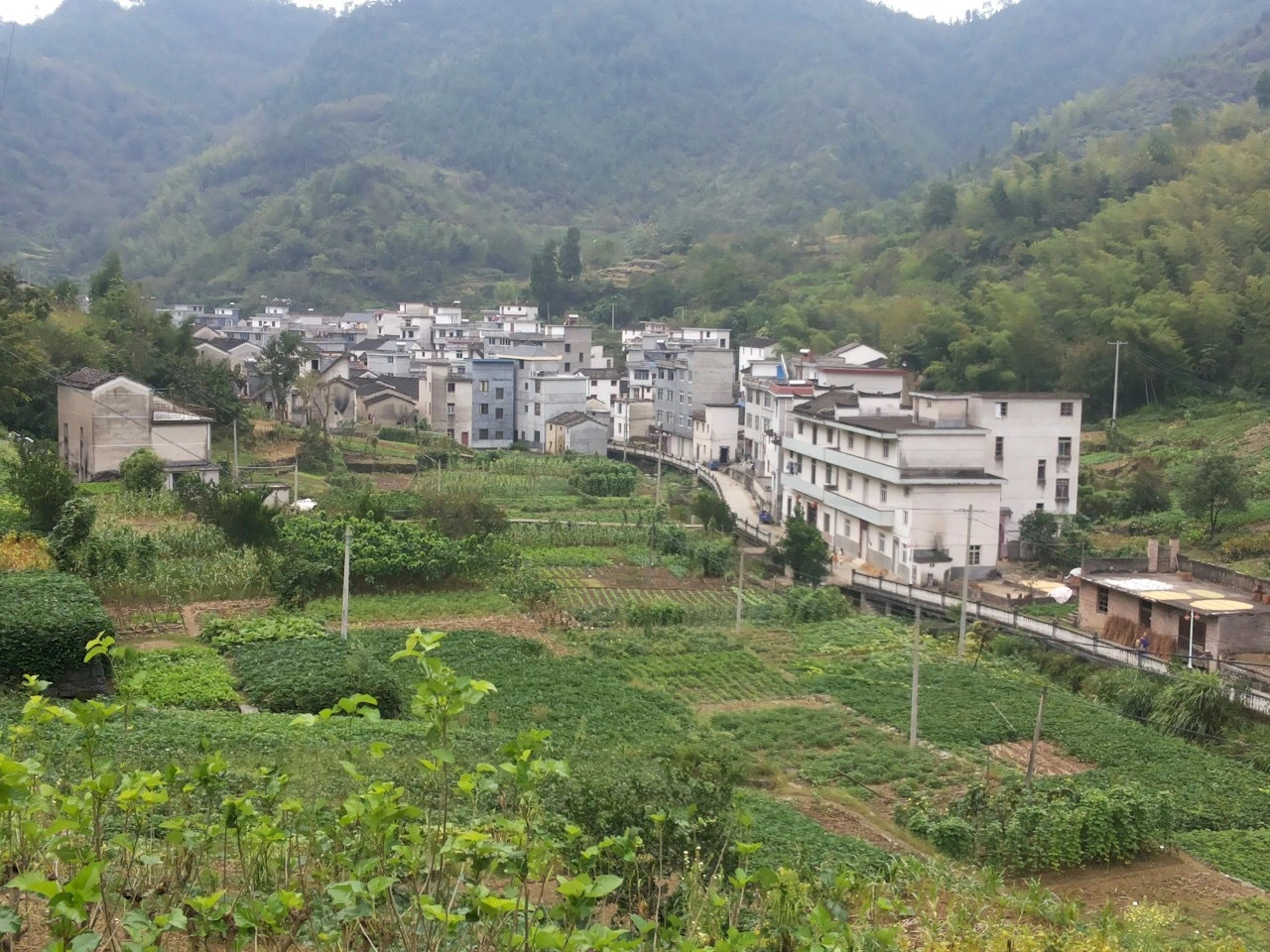 王学武 | 平凡的我们为何总放不下乡情
