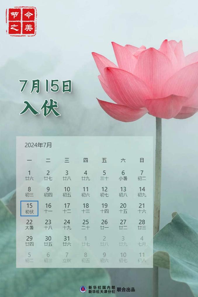 节令之美｜今年“三伏”又是40天，已连续10年如此