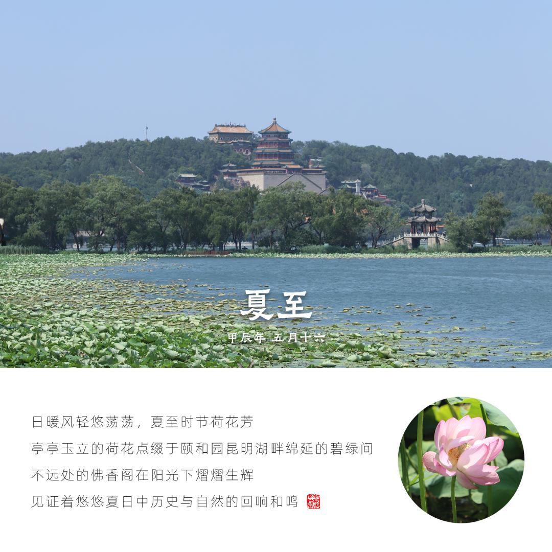 二十四节气之夏至