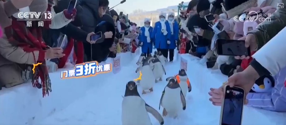 文旅消费踩上“风火轮”！“电影场景+地标景点”特色文旅标签“圈粉”无数