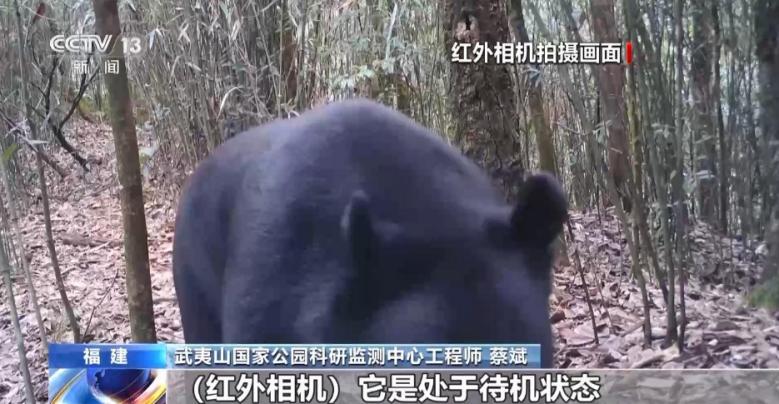 【何以中国】“偏要去武夷山，到底有谁在啊”