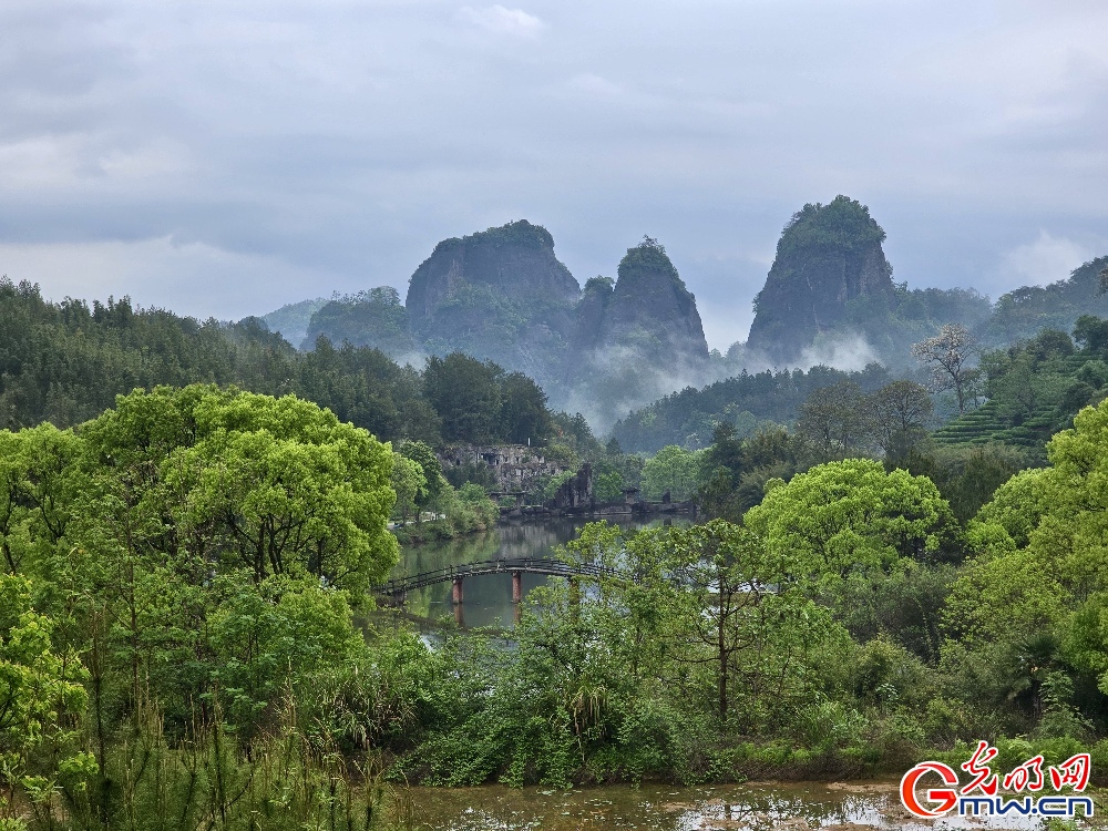 【何以中国】组图丨绿！绿！绿！在武夷山邂逅碧水丹山