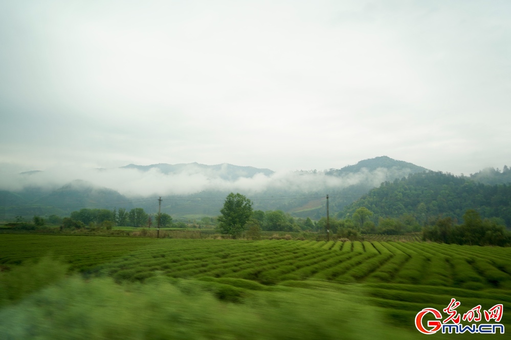 【何以中国】组图丨绿！绿！绿！在武夷山邂逅碧水丹山