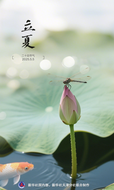节令之美丨5日13时57分立夏：春尽杂英歇，夏初芳草深