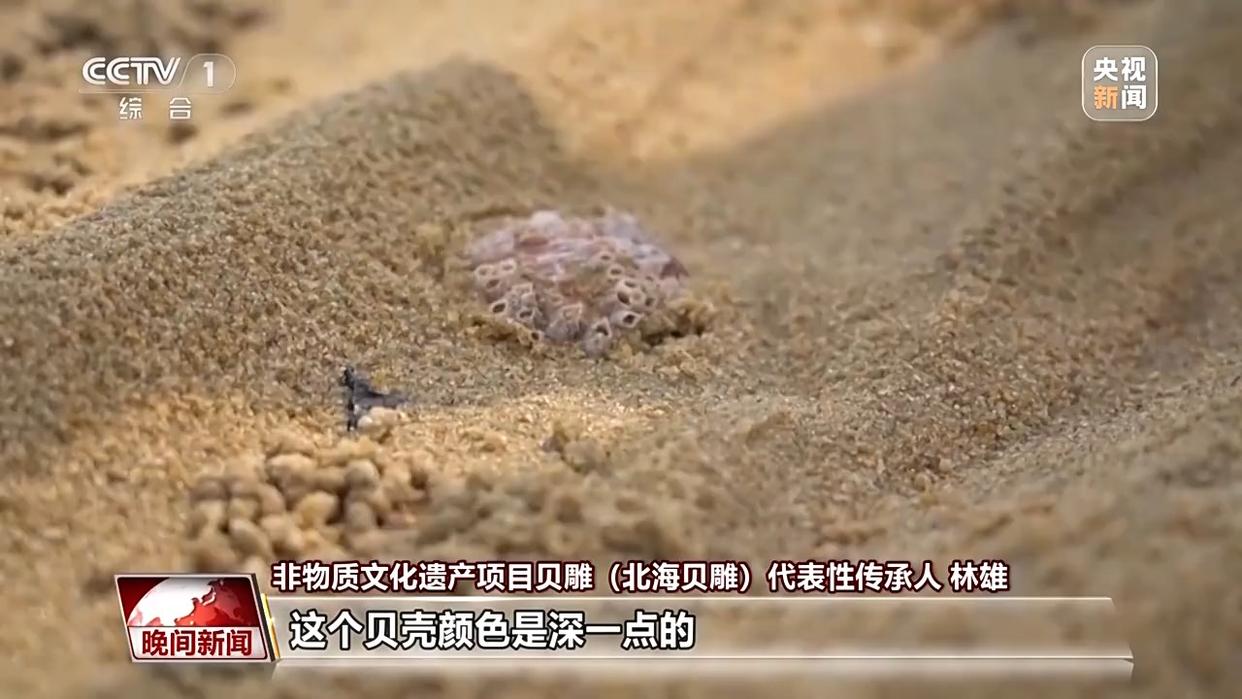 千年经典向新行丨小贝壳雕出千年非遗 这是方寸间的海洋史诗