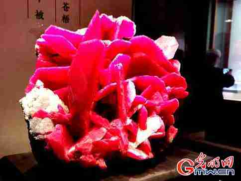 石韵天成!中国观赏石艺术展亮相国博 石韵天成!中国观赏石艺术展亮相国博