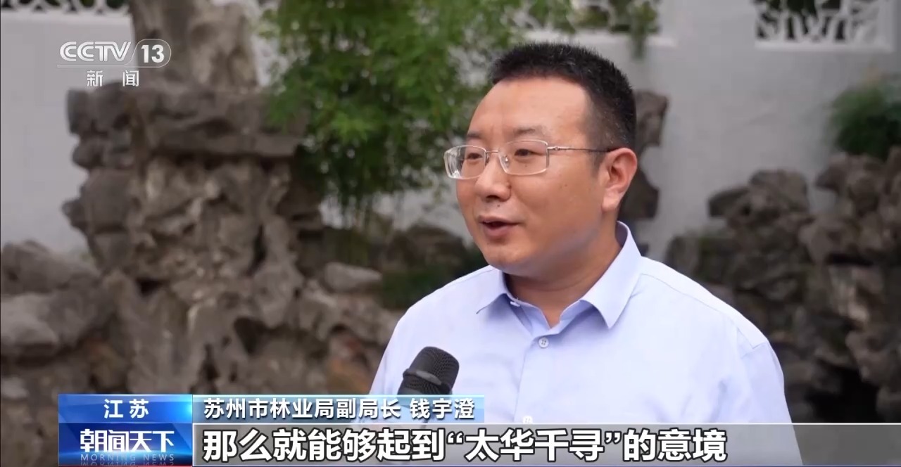 文化中国行丨苏州园林：“咫尺乾坤”邂逅千年文脉