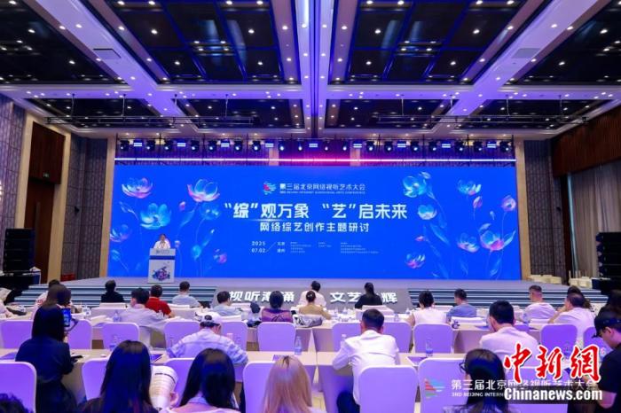 招商难、同质化 明星也救不了的网综如何突围？