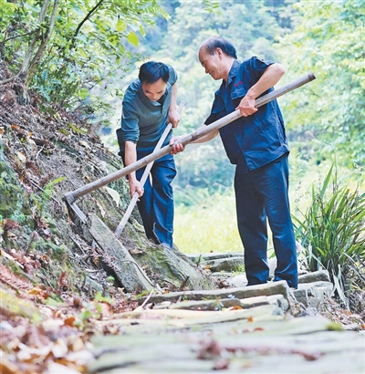 重庆市璧山区健龙镇白果村陈氏兄弟坚守8年修复古道 为苍苍古道重新聚起人气（守望）