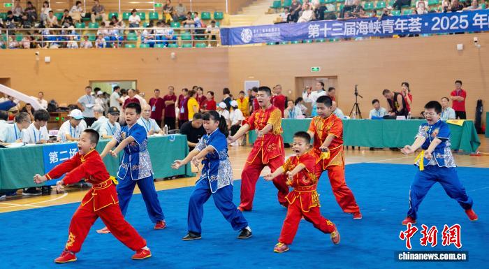 以武融情 闽台甘国宝武术文化周福建屏南开幕