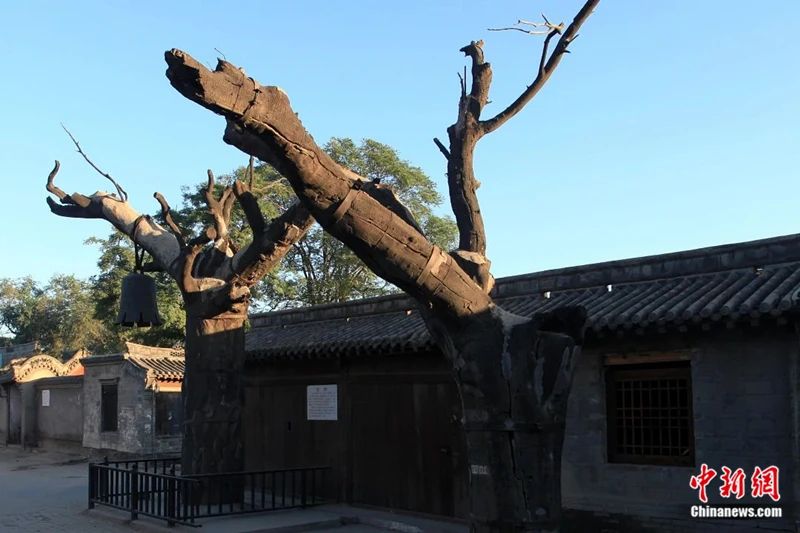 老电影《地道战》主拍摄地：冉庄村真实的地道战竟然是零死亡？