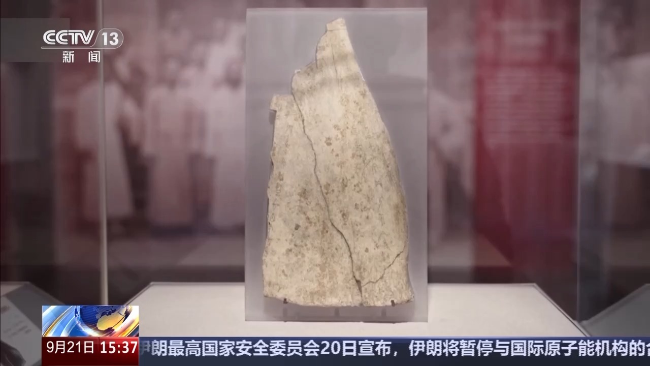 校馆弦歌丨考古学界的“北大模式”如何薪火相传？