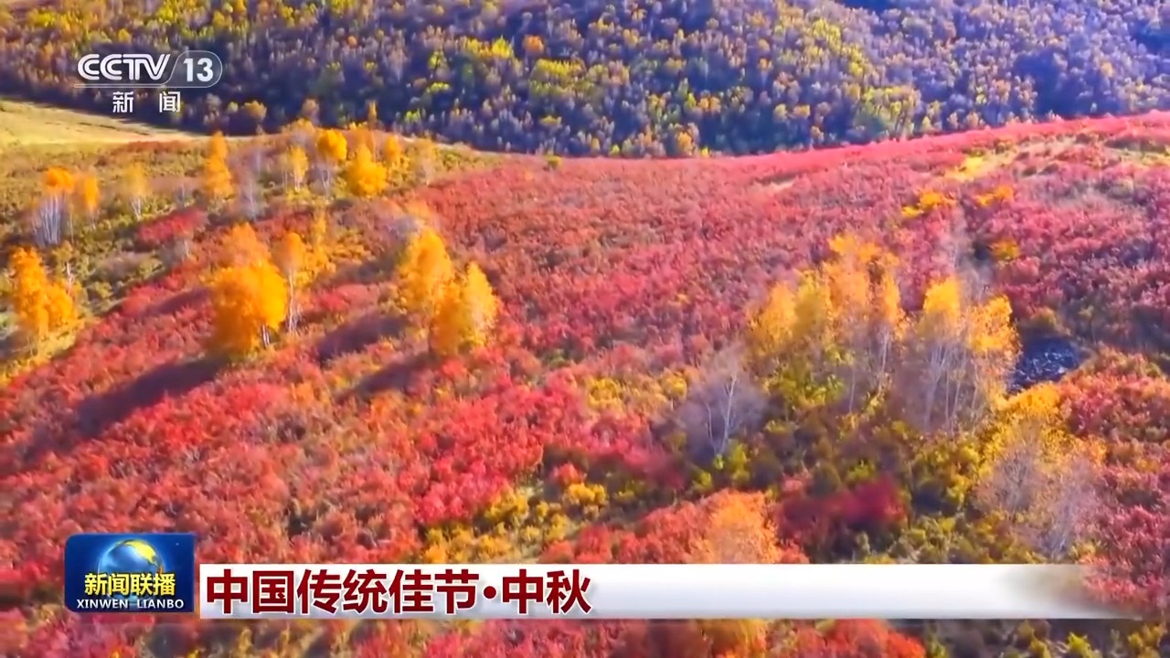 文化中国行丨赏桂花、吃月饼……一起感受中秋节的文化之美