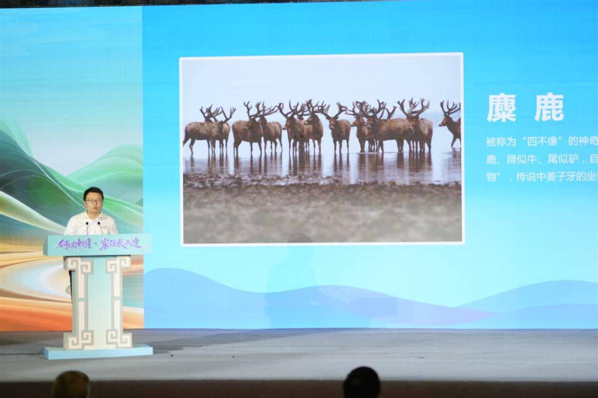 从长江之美与湖北之变,看“何以中国”