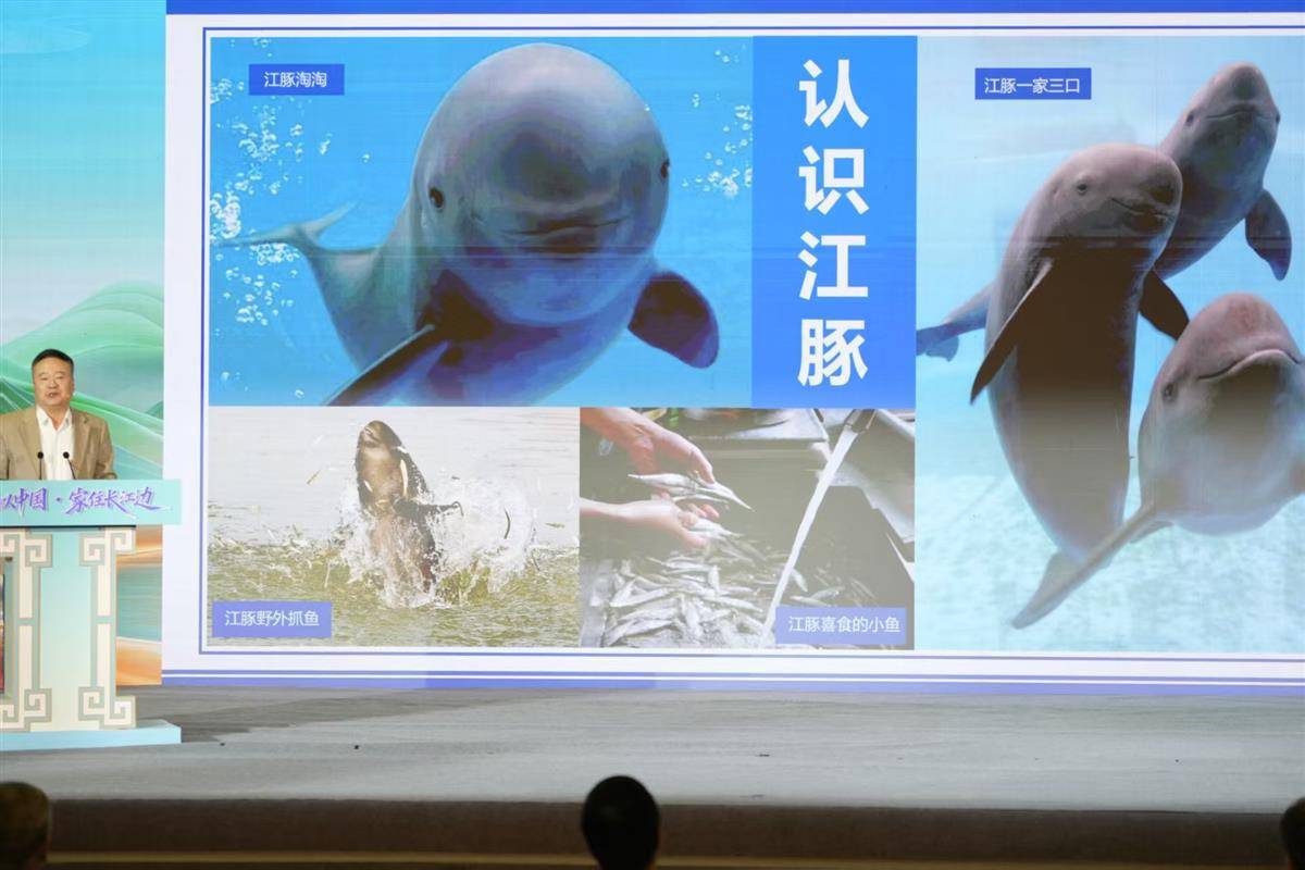 从长江之美与湖北之变,看“何以中国”