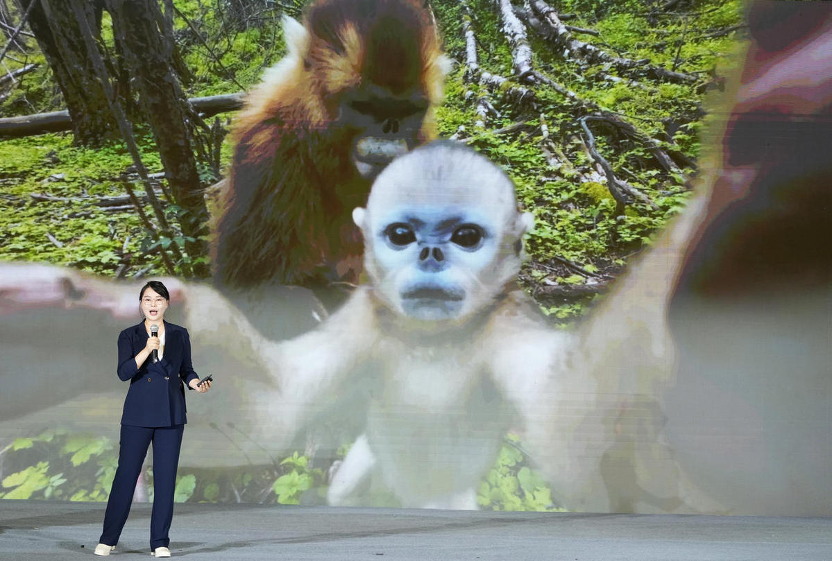 从长江之美与湖北之变,看“何以中国”