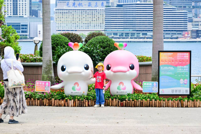 文化中国行·立冬 | 岭南立冬春意同,新梅万朵映晴空 文化中国行·立冬 | 岭南立冬春意同,新梅万朵映晴空