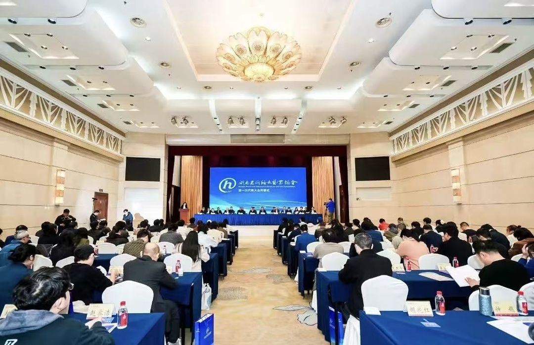 全国首家省级网络文艺领域人民团体在湘成立 舒勇当选协会主席 2.jpg