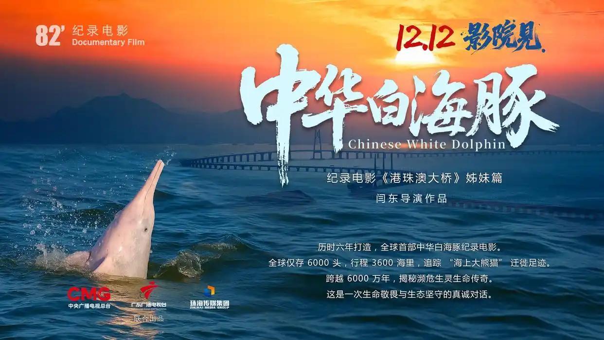 强国影视观察|生命纪事:从珠江口到人类未来——专访纪录电影《中华白海豚》总导演闫东 强国影视观察|生命纪事:从珠江口到人类未来——专访纪录电影《中华白海豚》总导演闫东