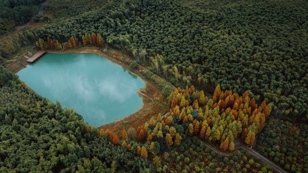 思想的力量——人文经济学的浙江溯源与践行丨五千年文明的历史回响