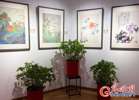 海棠迎春、花树祈福，圆明花事知多少