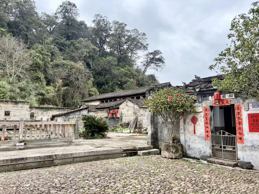 社会力量“活水”来，古村文脉有新章——“传统村落守护计划”在福建连城启动