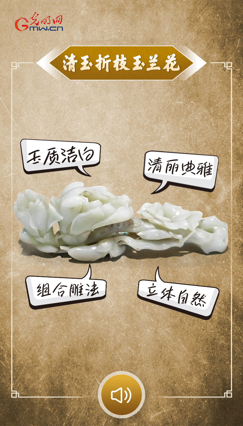 “文物会说话”有声海报｜一朵高洁的玉兰，撑起春天的风骨