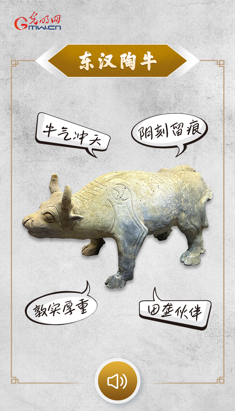 “文物会说话”有声海报｜田垄间的千年农耕图腾