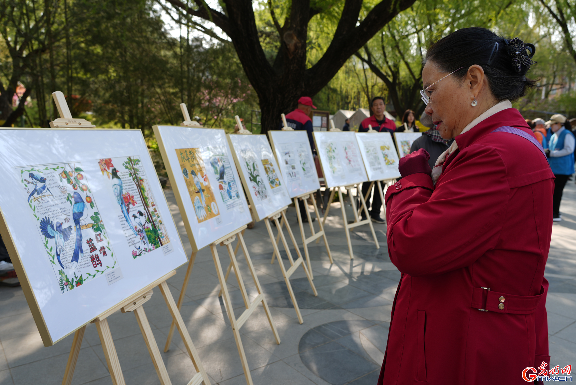 北京柳荫公园第十六届柳文化节开幕
