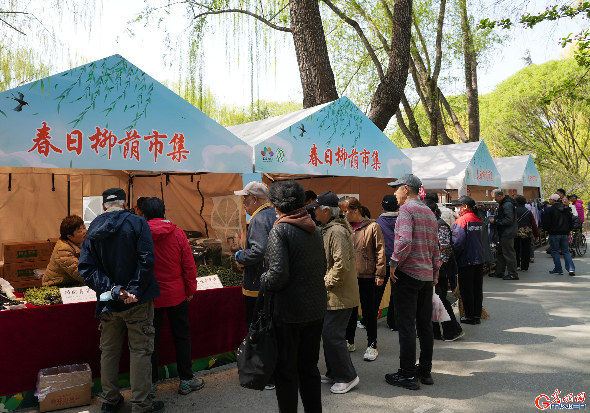 北京柳荫公园第十六届柳文化节开幕