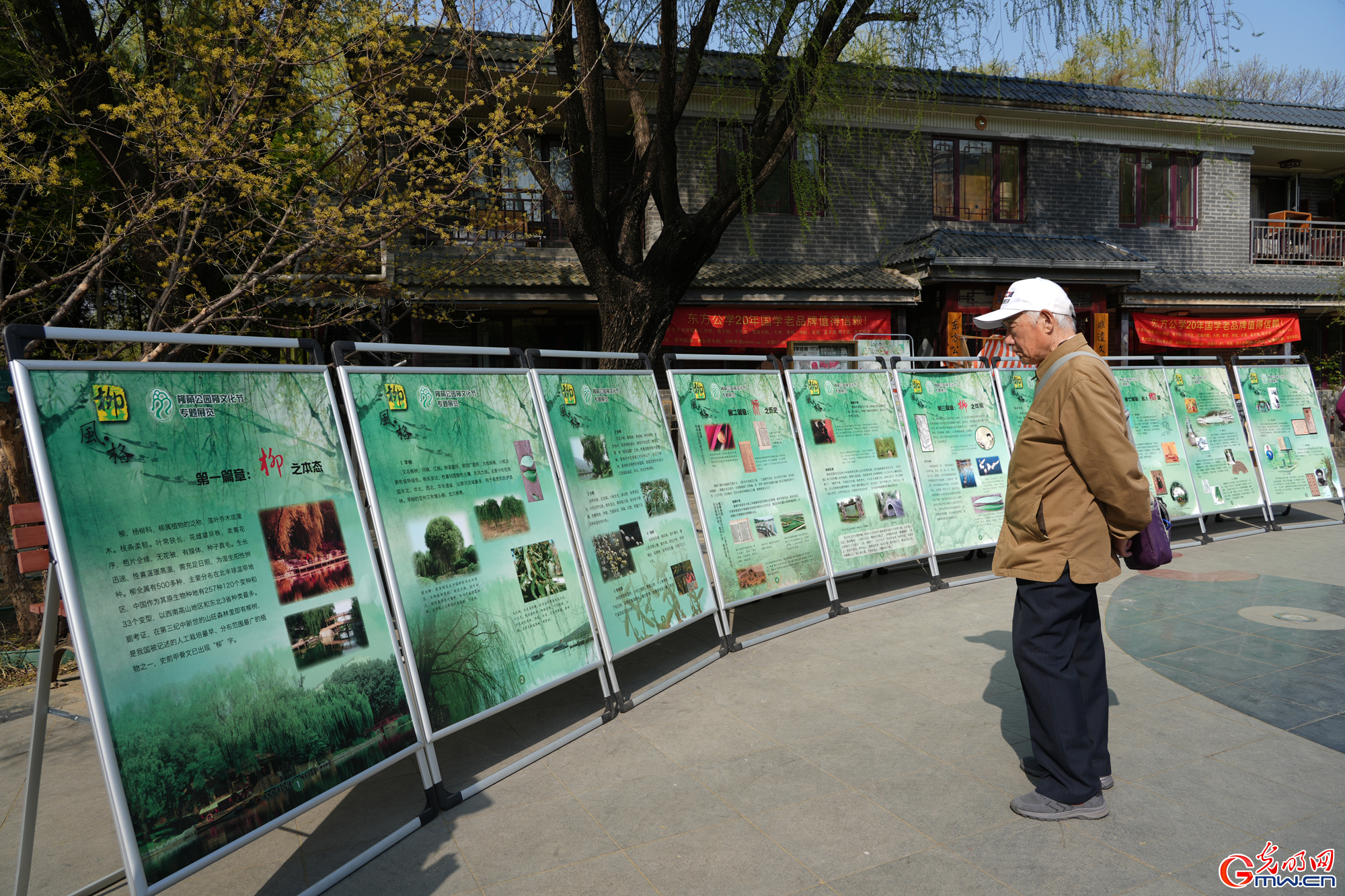 北京柳荫公园第十六届柳文化节开幕