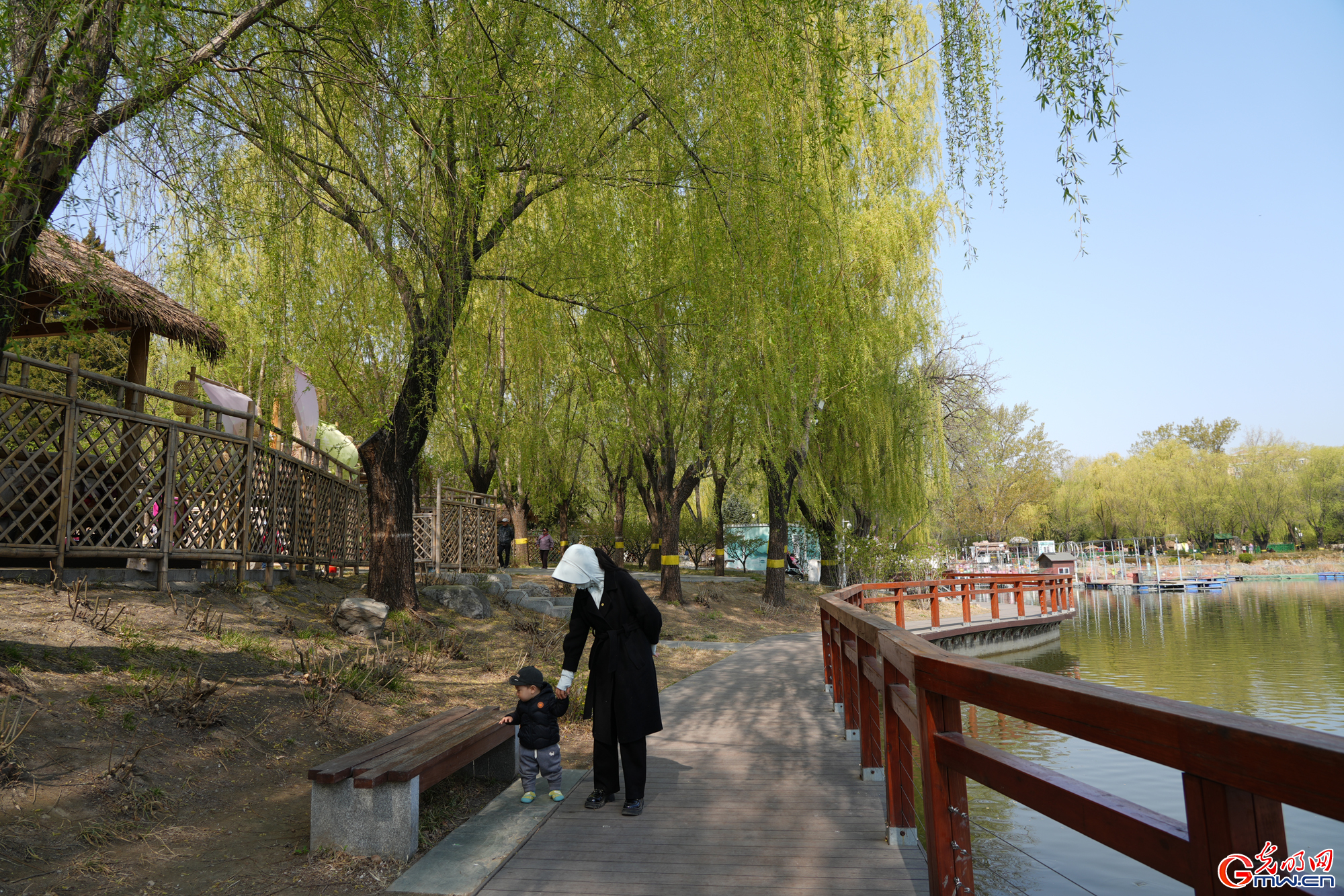 【网络中国节】第十六届柳文化节拉开帷幕 清明赏柳沐春光