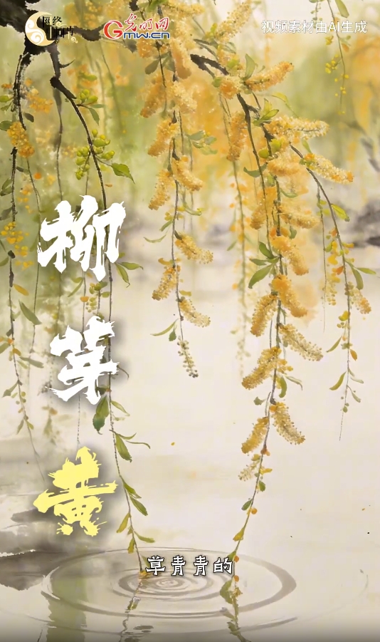 【网络中国节】清明Color Walk：在颜色里遇见流淌千年的春日