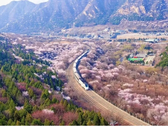 网络中国节|清明逢春假 带娃跟着课本去旅行