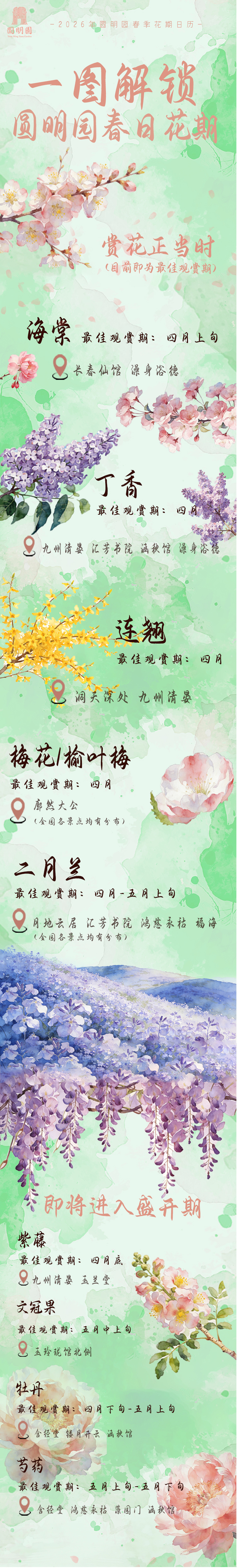 御园春归寻花逐韵，又是一年圆明园踏青节