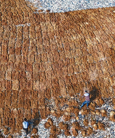 一张宣纸的诞生:108道工序