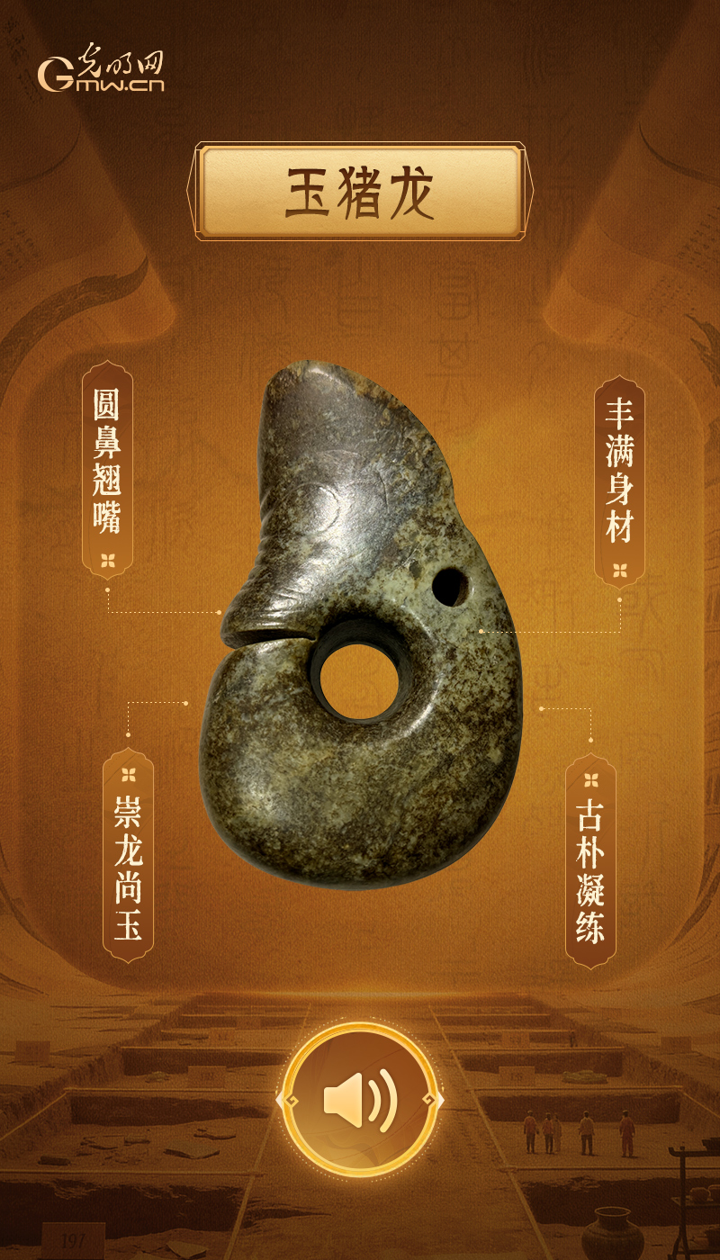 最大玉猪龙，解锁史前崇龙文脉