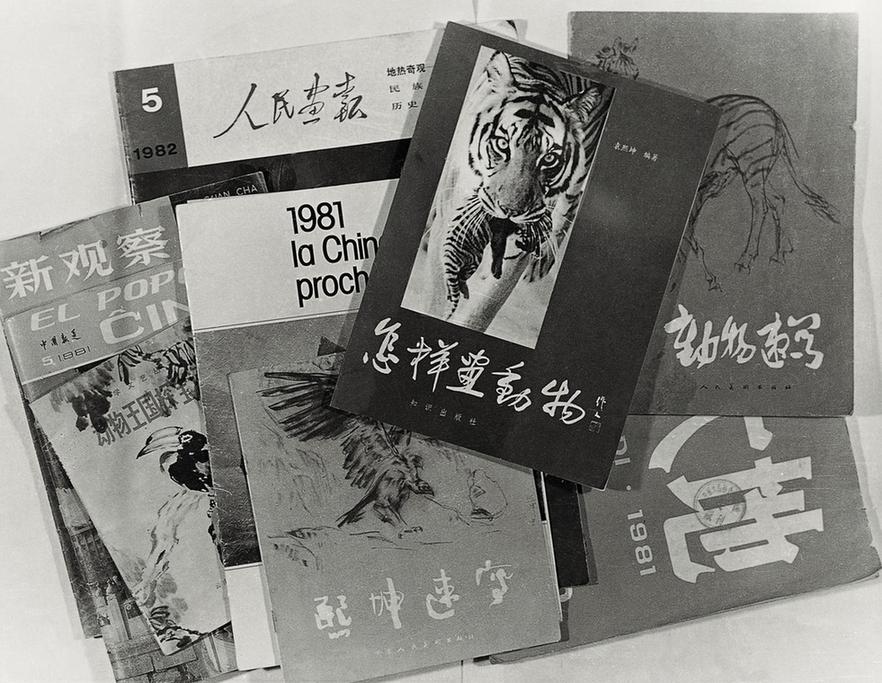 联合国环保艺术大师袁熙坤:小车不倒只管推 联合国环保艺术大师袁熙坤:小车不倒只管推