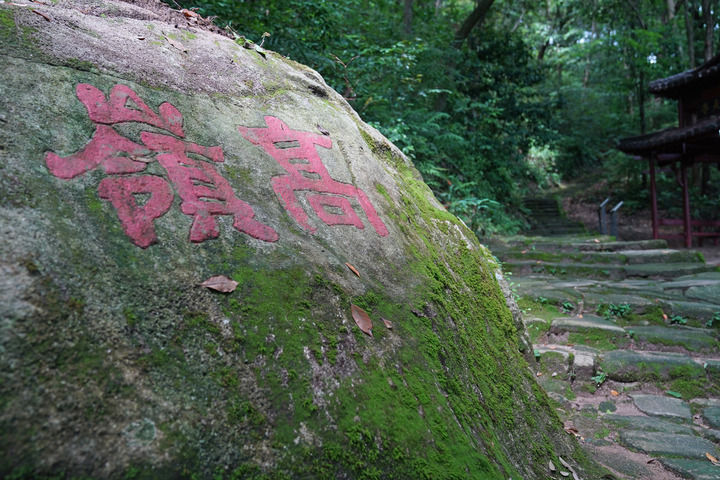 “千年瓷都”圆梦世遗
