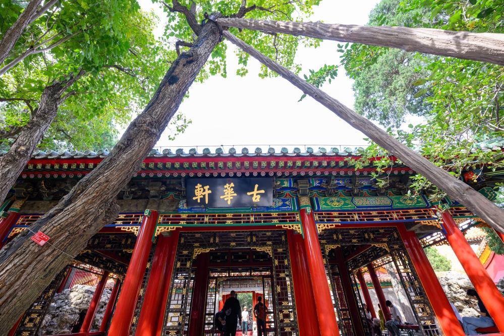 数字展览+实地古迹！暑期游线路又添新选项