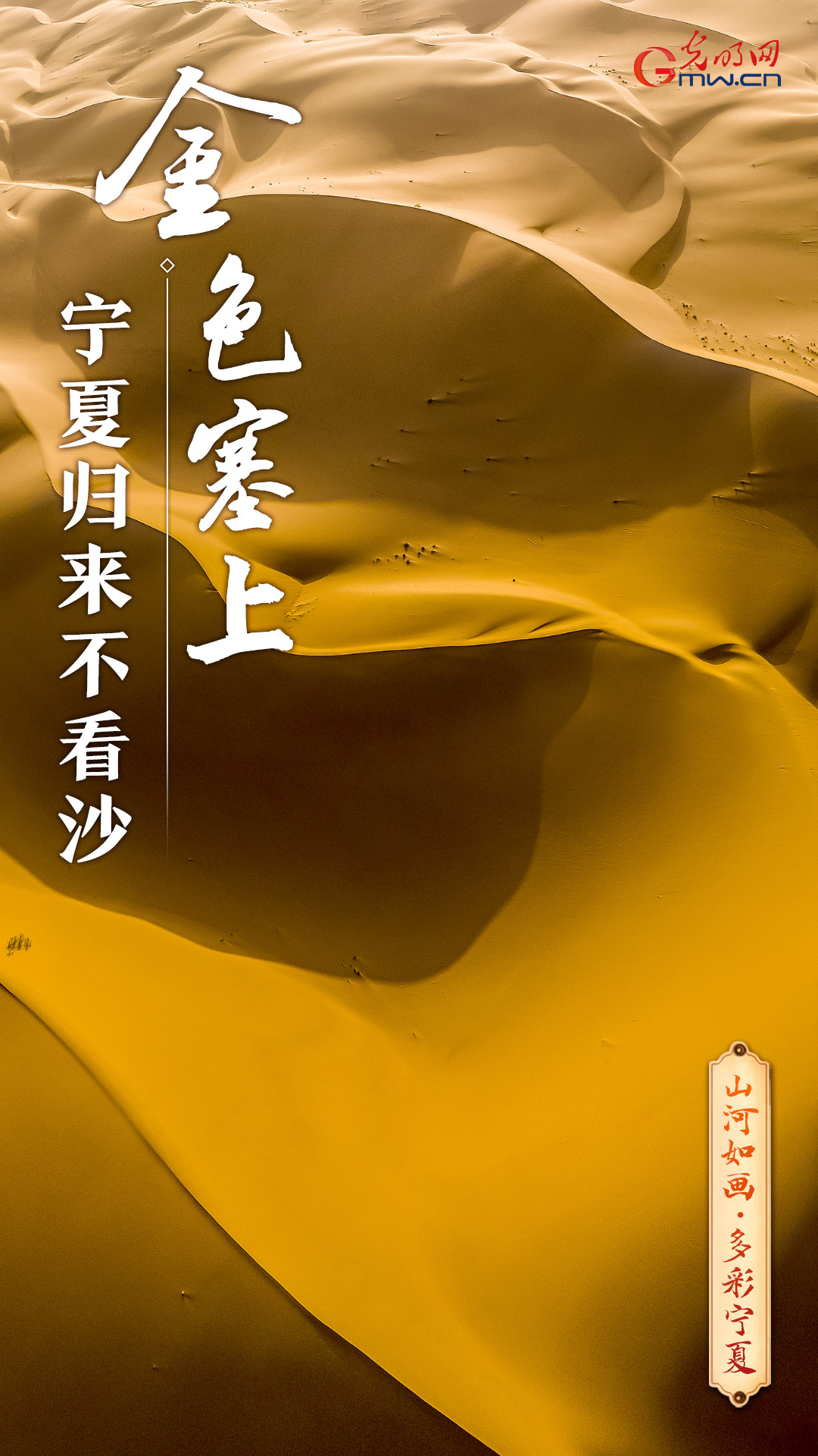 金色塞上｜大漠揽星河 沙海赴星辰