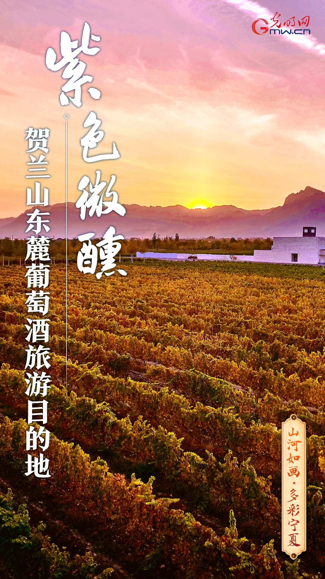 紫色微醺｜一山出佳酿 紫韵醉贺兰