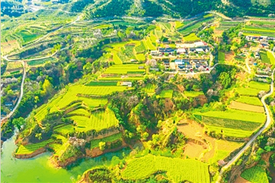 倾听黄河的声音 | 繁花深处听涛声