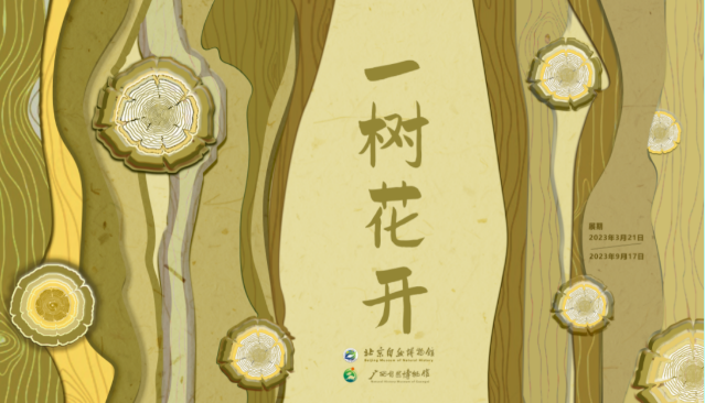 文博展讯丨四月，北京地区文博新展等你来！