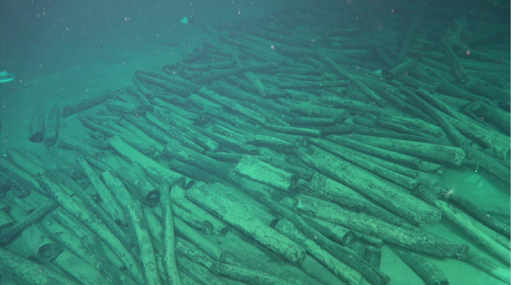 我国南海发现两处古代沉船 沉船水下永久测绘基点已布放