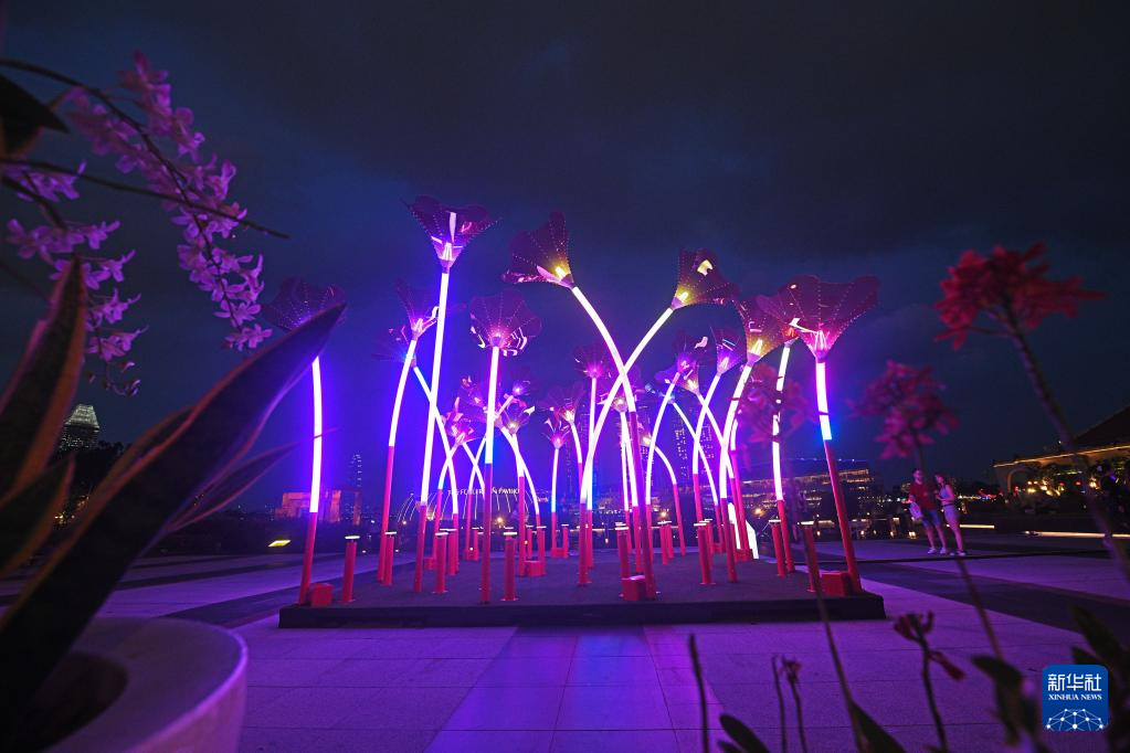 新加坡：灯光艺术展
