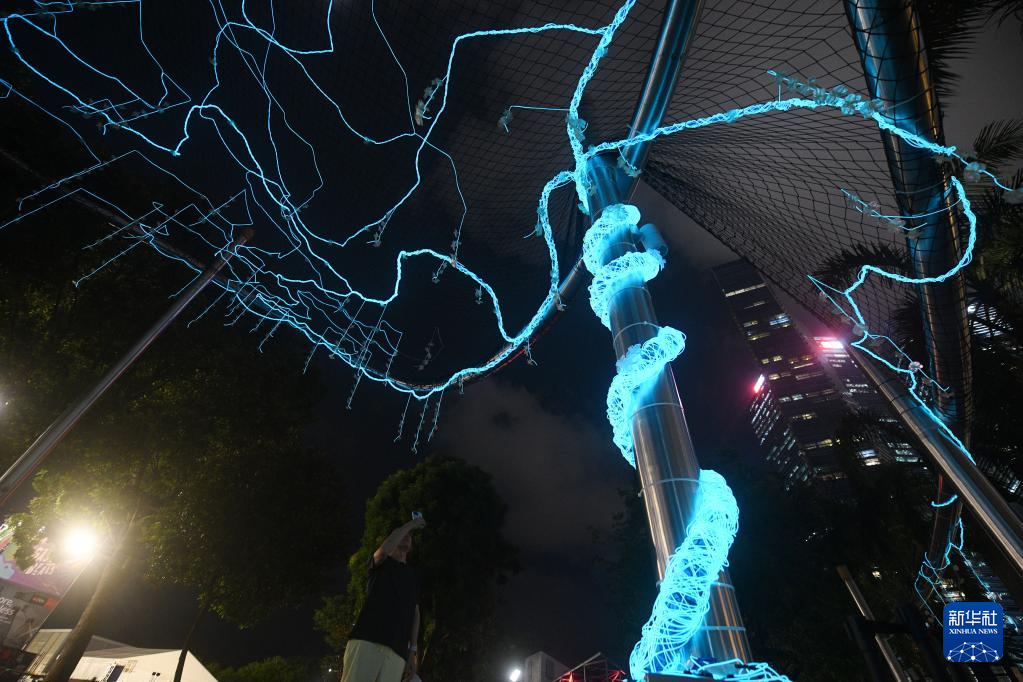 新加坡：灯光艺术展